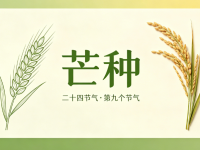 今日芒种｜暴雨+高温，安全勿松懈